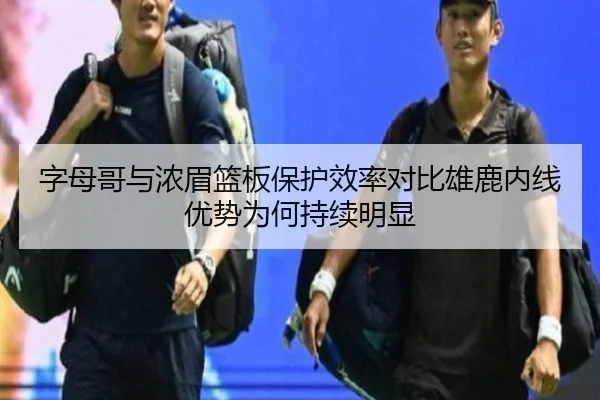 字母哥与浓眉篮板保护效率对比雄鹿内线优势为何持续明显